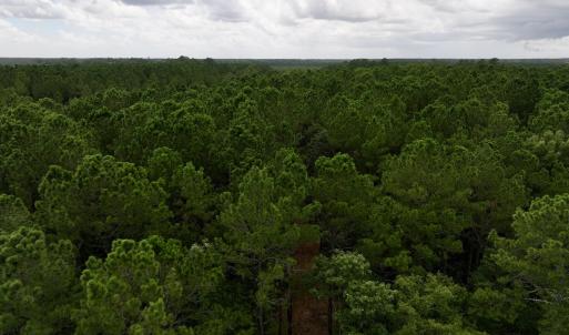 Photo #7 of 337 Pamlico Beach Rd, Belhaven, NC 1.8 acres