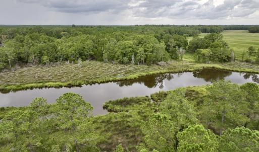 Photo #8 of 337 Pamlico Beach Rd, Belhaven, NC 1.8 acres