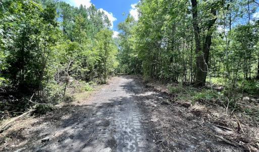 Photo #22 of 337 Pamlico Beach Rd, Belhaven, NC 1.8 acres