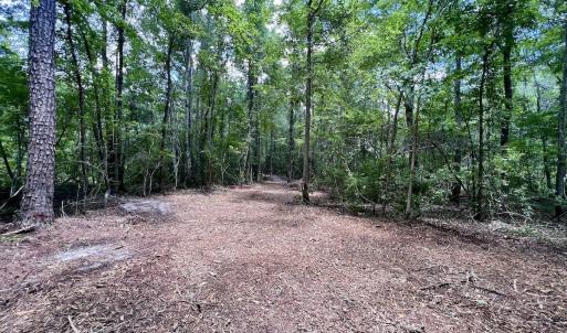 Photo #23 of 337 Pamlico Beach Rd, Belhaven, NC 1.8 acres
