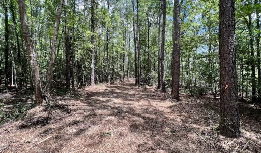 Photo #24 of 337 Pamlico Beach Rd, Belhaven, NC 1.8 acres