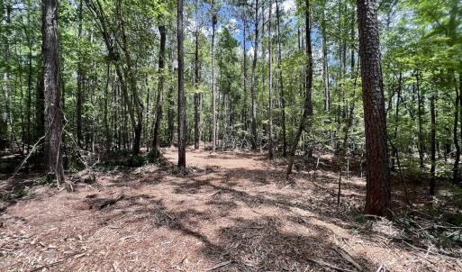 Photo #26 of 337 Pamlico Beach Rd, Belhaven, NC 1.8 acres