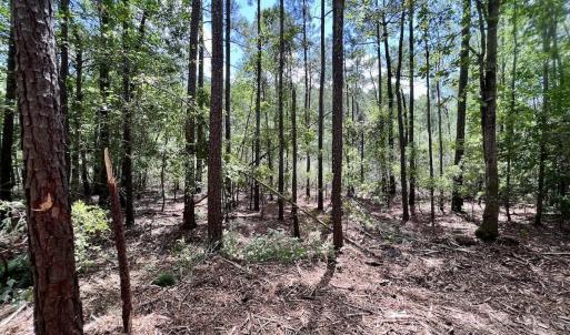 Photo #27 of 337 Pamlico Beach Rd, Belhaven, NC 1.8 acres