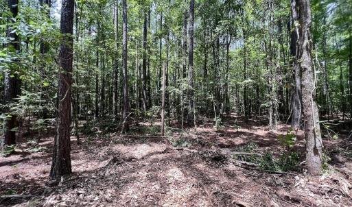 Photo #28 of 337 Pamlico Beach Rd, Belhaven, NC 1.8 acres