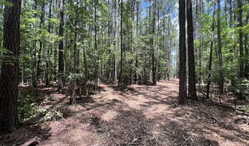 Photo #29 of 337 Pamlico Beach Rd, Belhaven, NC 1.8 acres