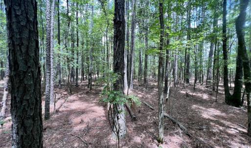 Photo #30 of 337 Pamlico Beach Rd, Belhaven, NC 1.8 acres