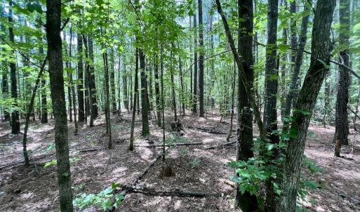 Photo #31 of 337 Pamlico Beach Rd, Belhaven, NC 1.8 acres