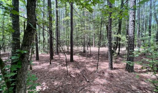 Photo #32 of 337 Pamlico Beach Rd, Belhaven, NC 1.8 acres