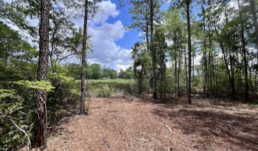 Photo #33 of 337 Pamlico Beach Rd, Belhaven, NC 1.8 acres