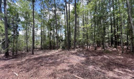 Photo #34 of 337 Pamlico Beach Rd, Belhaven, NC 1.8 acres