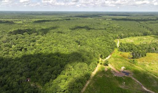 Photo #10 of Off of Lewis Coombs Ln, Trenton, NC 26.8 acres