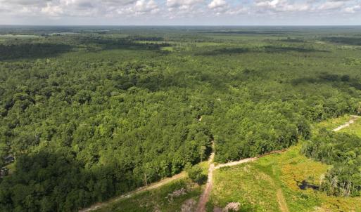 Photo #11 of Off of Lewis Coombs Ln, Trenton, NC 26.8 acres