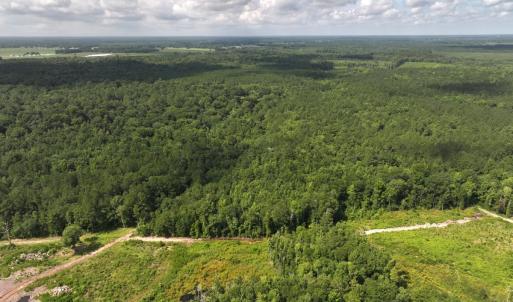 Photo #12 of Off of Lewis Coombs Ln, Trenton, NC 26.8 acres