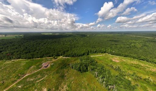 Photo #13 of Off of Lewis Coombs Ln, Trenton, NC 26.8 acres