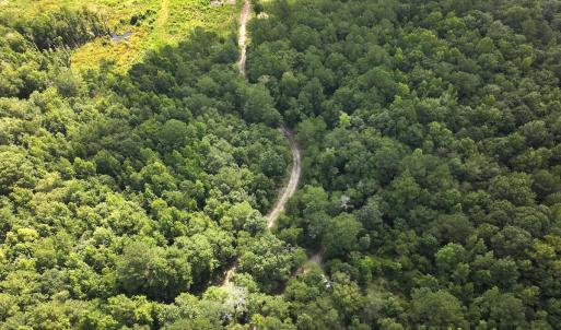 Photo #15 of Off of Lewis Coombs Ln, Trenton, NC 26.8 acres