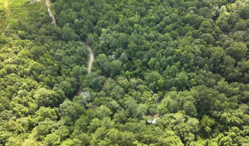 Photo #16 of Off of Lewis Coombs Ln, Trenton, NC 26.8 acres