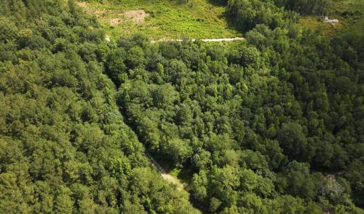 Photo #17 of Off of Lewis Coombs Ln, Trenton, NC 26.8 acres