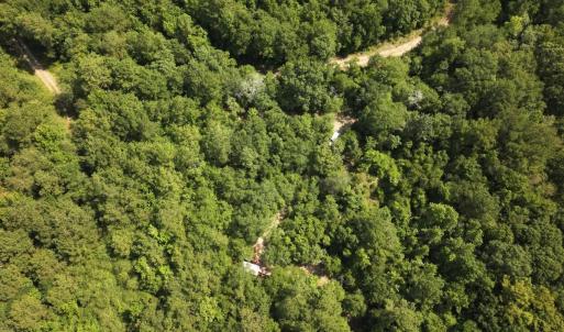 Photo #18 of Off of Lewis Coombs Ln, Trenton, NC 26.8 acres