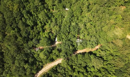 Photo #19 of Off of Lewis Coombs Ln, Trenton, NC 26.8 acres