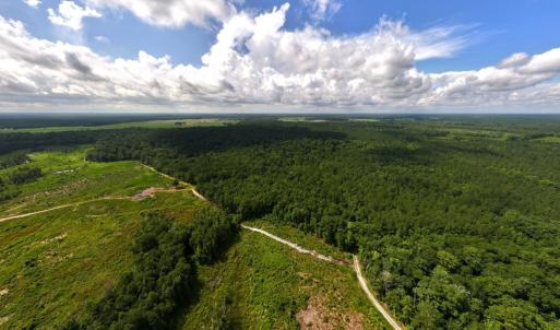 Photo #1 of Off of Lewis Coombs Ln, Trenton, NC 26.8 acres