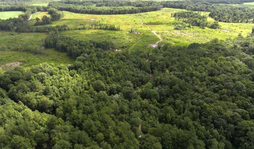 Photo #2 of Off of Lewis Coombs Ln, Trenton, NC 26.8 acres