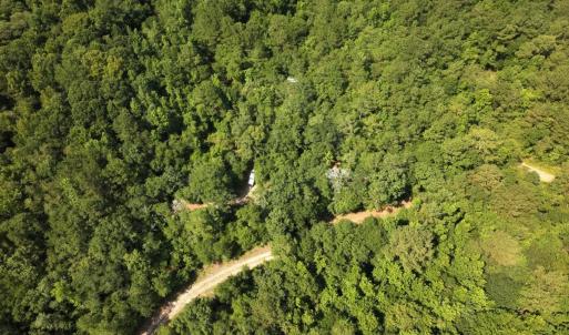 Photo #20 of Off of Lewis Coombs Ln, Trenton, NC 26.8 acres