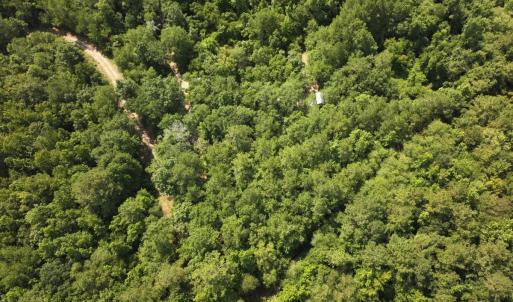 Photo #21 of Off of Lewis Coombs Ln, Trenton, NC 26.8 acres