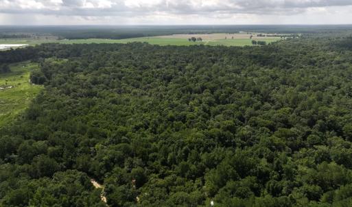 Photo #22 of Off of Lewis Coombs Ln, Trenton, NC 26.8 acres