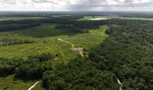 Photo #23 of Off of Lewis Coombs Ln, Trenton, NC 26.8 acres