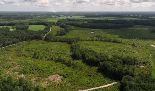 Photo #24 of Off of Lewis Coombs Ln, Trenton, NC 26.8 acres