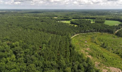 Photo #25 of Off of Lewis Coombs Ln, Trenton, NC 26.8 acres