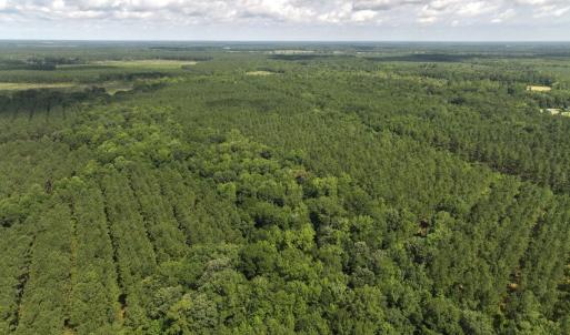 Photo #26 of Off of Lewis Coombs Ln, Trenton, NC 26.8 acres