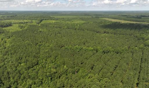 Photo #27 of Off of Lewis Coombs Ln, Trenton, NC 26.8 acres