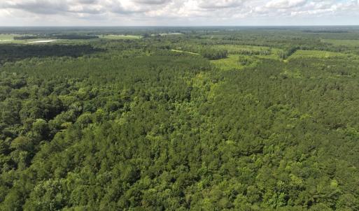 Photo #28 of Off of Lewis Coombs Ln, Trenton, NC 26.8 acres