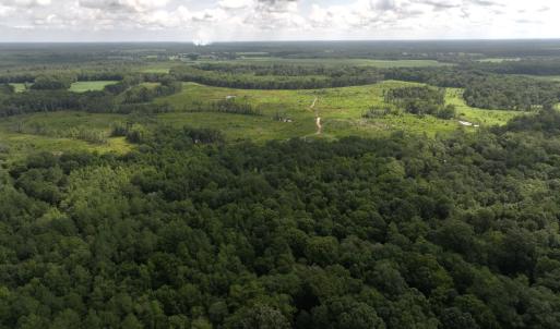 Photo #3 of Off of Lewis Coombs Ln, Trenton, NC 26.8 acres
