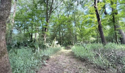 Photo #33 of Off of Lewis Coombs Ln, Trenton, NC 26.8 acres