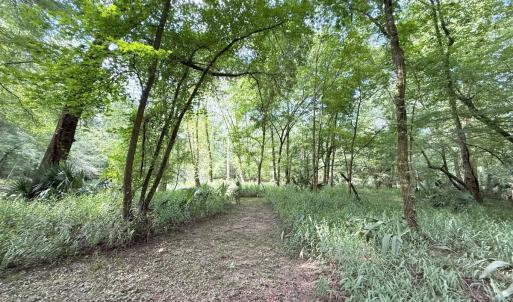 Photo #36 of Off of Lewis Coombs Ln, Trenton, NC 26.8 acres