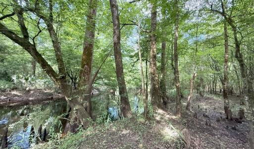 Photo #38 of Off of Lewis Coombs Ln, Trenton, NC 26.8 acres