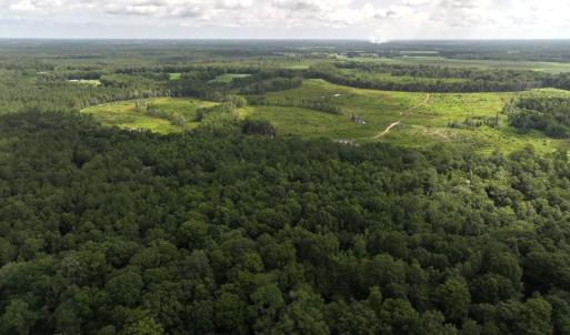 Photo #4 of Off of Lewis Coombs Ln, Trenton, NC 26.8 acres
