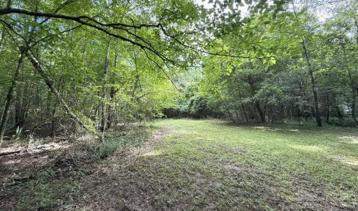 Photo #39 of Off of Lewis Coombs Ln, Trenton, NC 26.8 acres