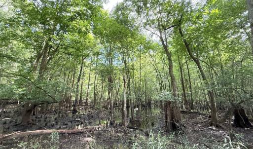 Photo #40 of Off of Lewis Coombs Ln, Trenton, NC 26.8 acres