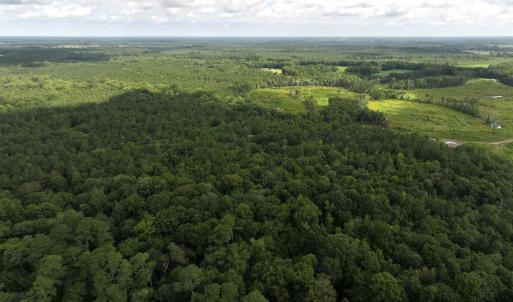 Photo #5 of Off of Lewis Coombs Ln, Trenton, NC 26.8 acres