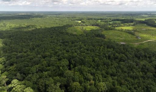 Photo #6 of Off of Lewis Coombs Ln, Trenton, NC 26.8 acres