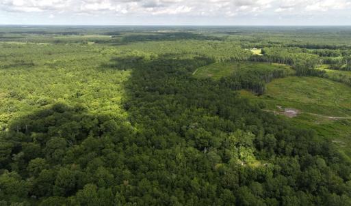 Photo #7 of Off of Lewis Coombs Ln, Trenton, NC 26.8 acres