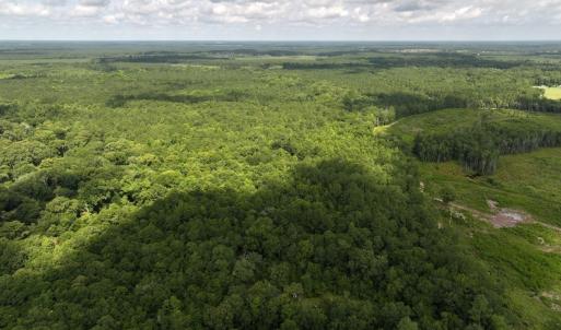 Photo #9 of Off of Lewis Coombs Ln, Trenton, NC 26.8 acres
