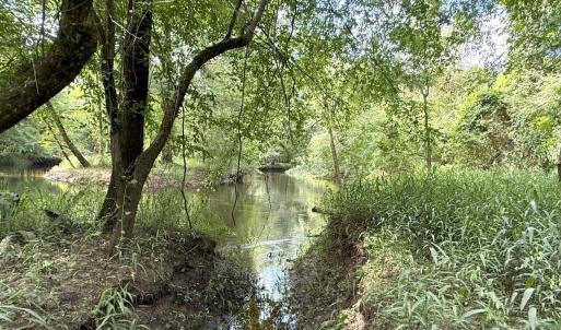 Photo #45 of Off of Lewis Coombs Ln, Trenton, NC 26.8 acres