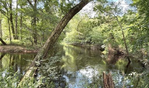 Photo #46 of Off of Lewis Coombs Ln, Trenton, NC 26.8 acres