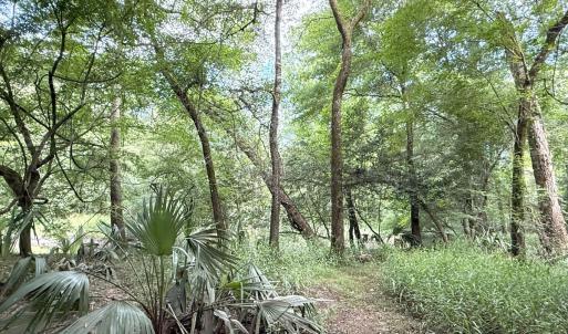 Photo #47 of Off of Lewis Coombs Ln, Trenton, NC 26.8 acres