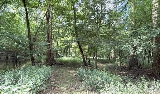 Photo #48 of Off of Lewis Coombs Ln, Trenton, NC 26.8 acres