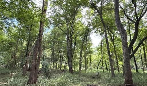 Photo #49 of Off of Lewis Coombs Ln, Trenton, NC 26.8 acres